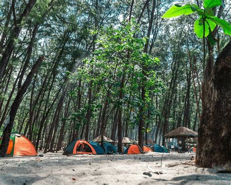 camping places in the philippines